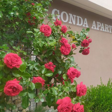 Gonda Apartments Hradec Králové Zewnętrze zdjęcie