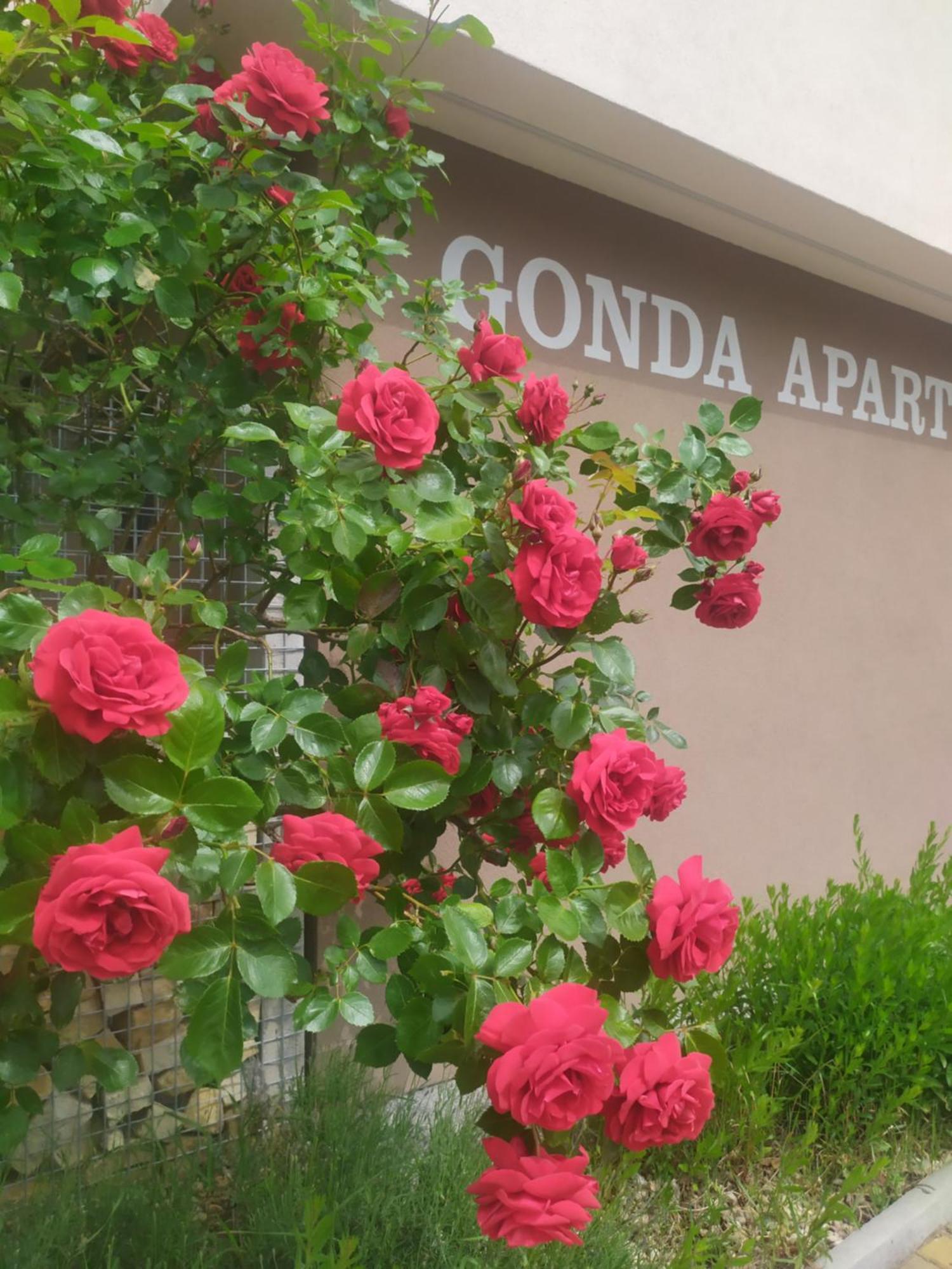 Gonda Apartments Hradec Králové Zewnętrze zdjęcie